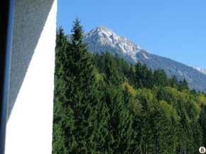 Alpen Appartement, Hermagor-Pressegger See, Österreich